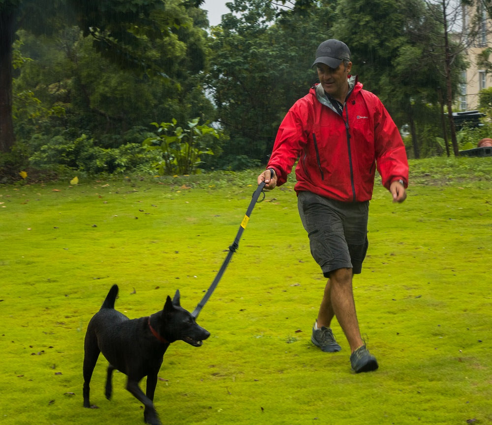 DUO+ Australian Design Smart Dog Leash